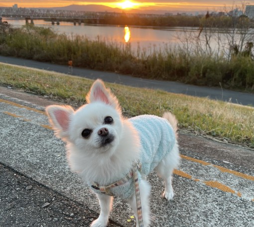 癒しの館オープン✨