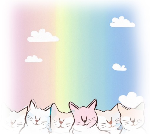 猫がお空へ旅立ちました