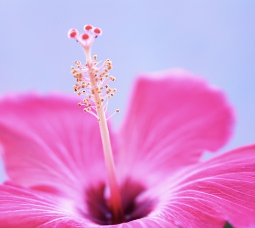 心のクローゼットをら開けてみよう💖