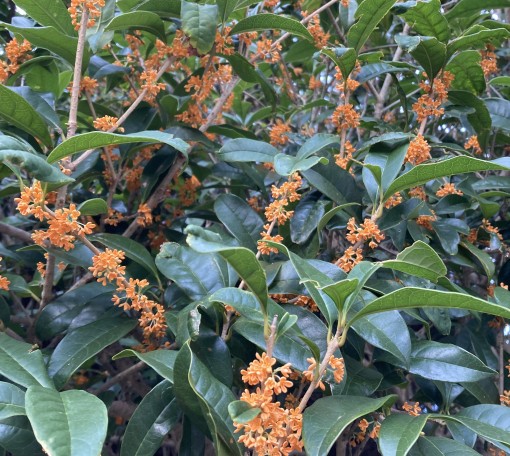 娘と夫を癒した話