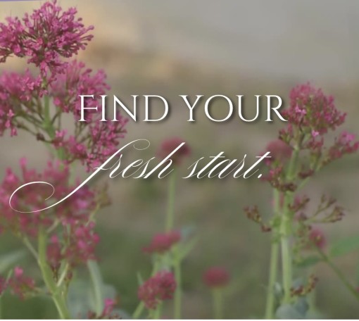 傷ついた経験をお持ちの方へ