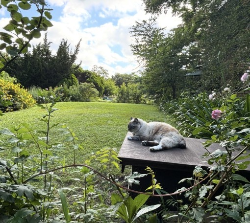 忙しくしていないと   価値がない…私