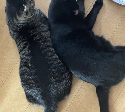 私は私を愛してる