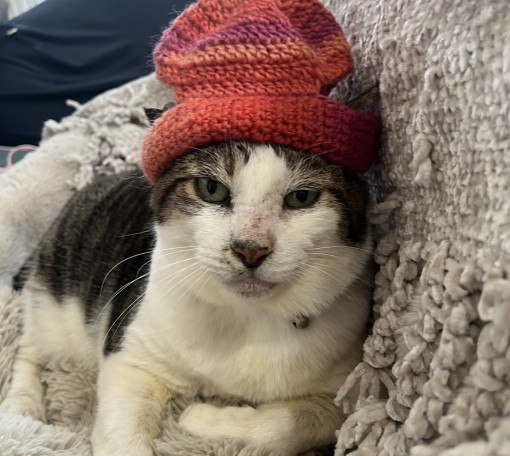 元旦に気づいた、私のお金のブロック