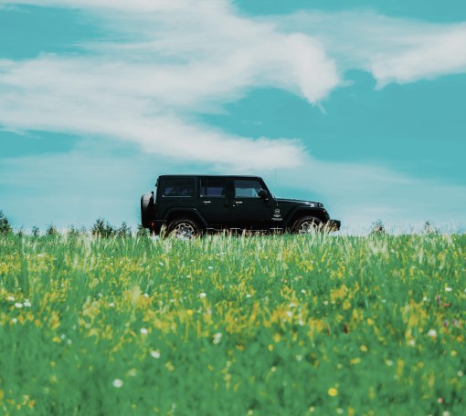 被害者でいなくても安全だと、どうやって学ぶのか