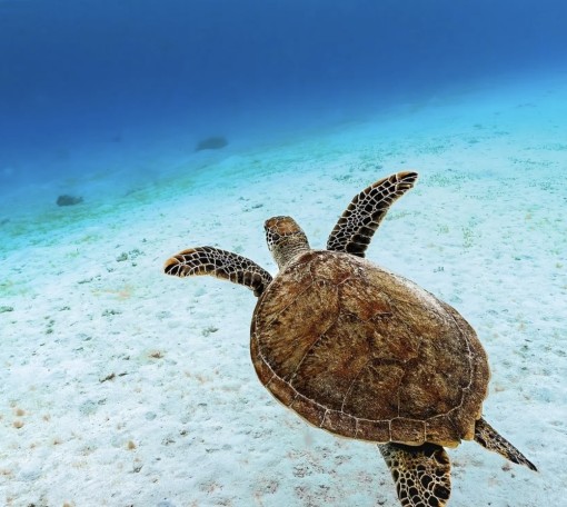 前世の縛り〜お金のブロック〜