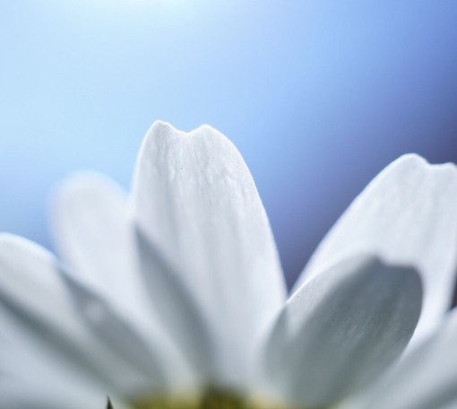 お姫様ターンの始まり〜😍