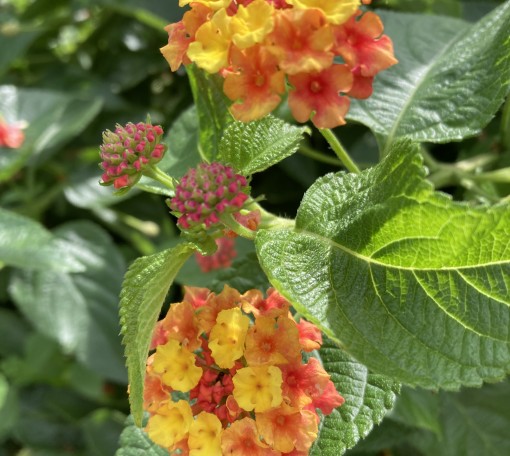 新生活が始まりました