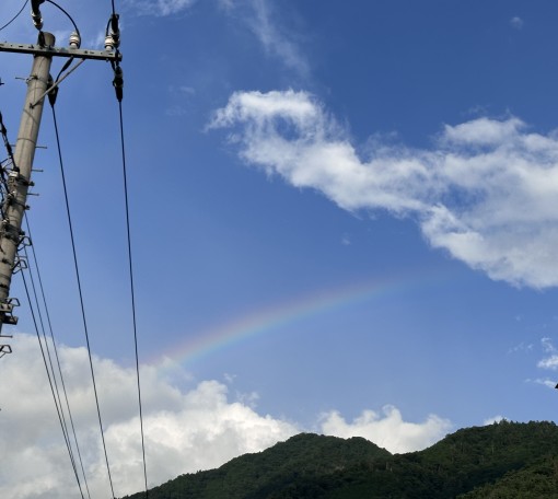 😲 驚きの「お世話したい！」衝動と、鼻毛が導く前世への旅路