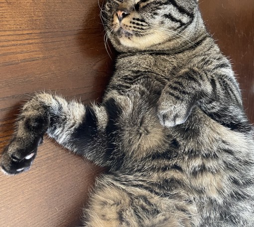 そのままでいい