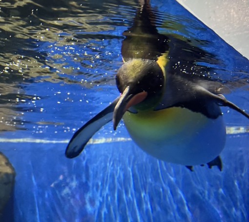 期待の裏側にあったもの