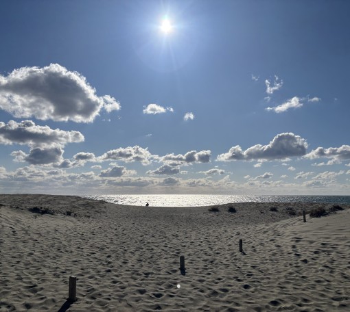 正月土産の中身とは