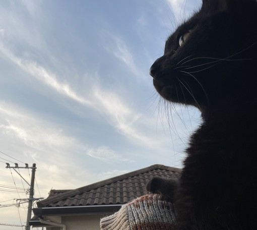 尊重
